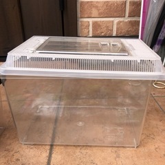 昆虫飼育用品の画像