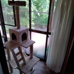 キャットタワーの画像
