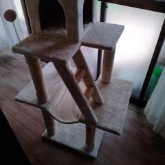 キャットタワーの画像