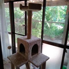 キャットタワーの画像