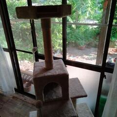 キャットタワーの画像