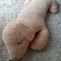【決まりました】犬のぬいぐるみ