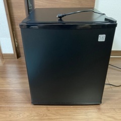 サンルック 小型冷蔵庫 48L ペルチェ方式 SR-R4802 ...