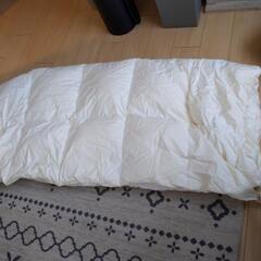 無料　日本製　羽毛布団　肌掛けふとん