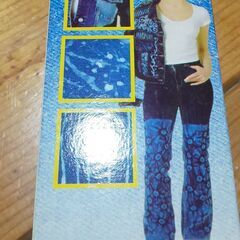 DYLON ダイロン デザイナーデニムの画像