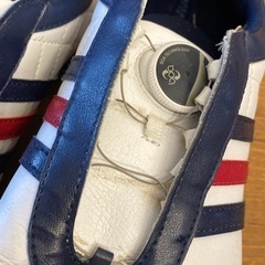 レディース　アディダス　ゴルフシューズ　24.5cmの画像