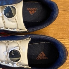 レディース　アディダス　ゴルフシューズ　24.5cmの画像