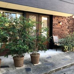 美容師カラーリストの求人・パート・西新の画像