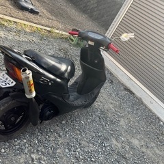 ライブディオ zx の画像