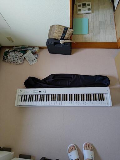 鍵盤楽器、ピアノ KORG D1