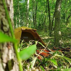 2500坪の広大な山を独り占め！！【のんびり田舎キャンプ】