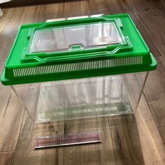 虫かご