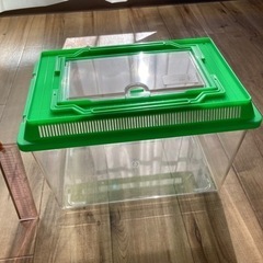 虫かごの画像