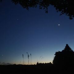 大きすぎる夜空を独り占め！！【広大な草原キャンプ】