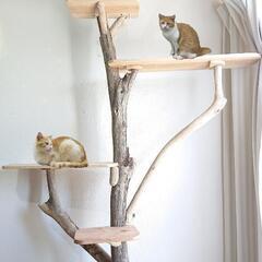 流木キャットタワー195㎝