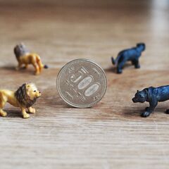 動物　ミニチュア　フィギュアの画像