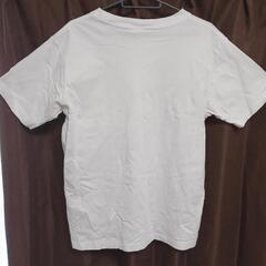 (美品)Champion　Tシャツの画像