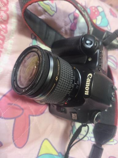 Canon　30D　セット