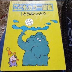 図鑑１０冊セットの画像