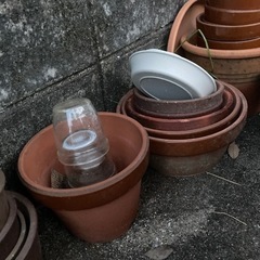 植木鉢いろいろ⑤の画像