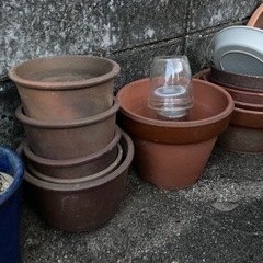 植木鉢いろいろ⑤の画像