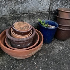 植木鉢いろいろ⑤の画像