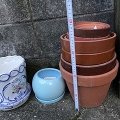 植木鉢いろいろ⑤の画像