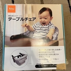 Vita ヴィータ テーブルチェア