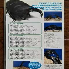 クワガタ王決定戦 DVDの画像