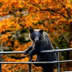 😄北海道全地域のカメラグループ😄