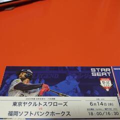 ヤクルト ソフトバンク 神宮 バックネット裏