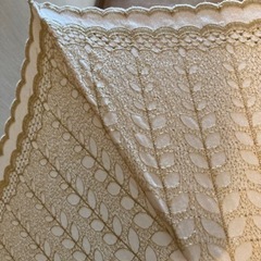 折りたたみ日傘　レースの画像