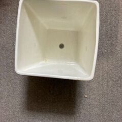 白い花瓶　ニトリで購入　籠の花瓶もおつけしますの画像