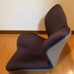 大特価！骨盤矯正クッション・スタイルプレミアムの画像