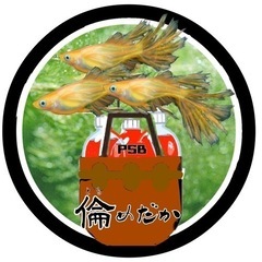 ゾウリムシ販売の画像