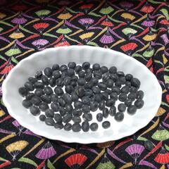 丹波の黒大豆の種　お試し