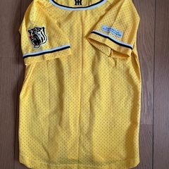 🐯阪神タイガース応援セット📣の画像