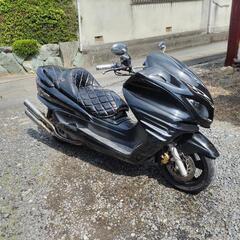 YAMAHA   majesty250