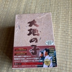 大地の子　　DVD