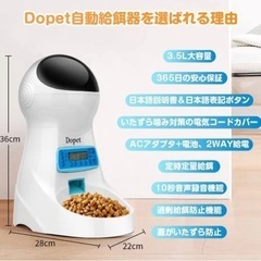 ペット用自動餌やりき