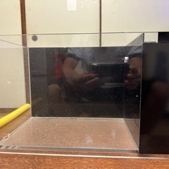 水槽の画像