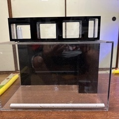 水槽の画像