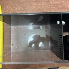 水槽の画像