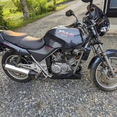 ホンダ　ゼルビス　250cc　おまけ付き