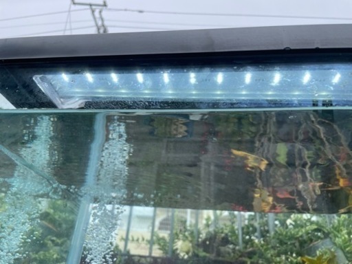 水槽900
