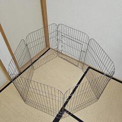 ラビットサークル