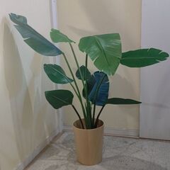 フェイクグリーン 0528