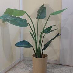 フェイクグリーン 0528の画像