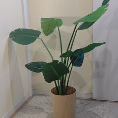 フェイクグリーン 0528の画像