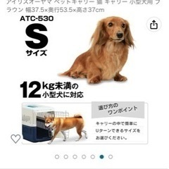 犬用 キャリーケースの画像